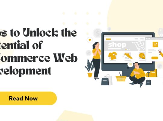 E-commerce web development